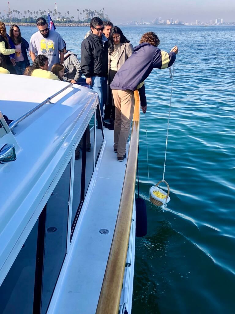 The basket lowered into the water off Huntington Beach