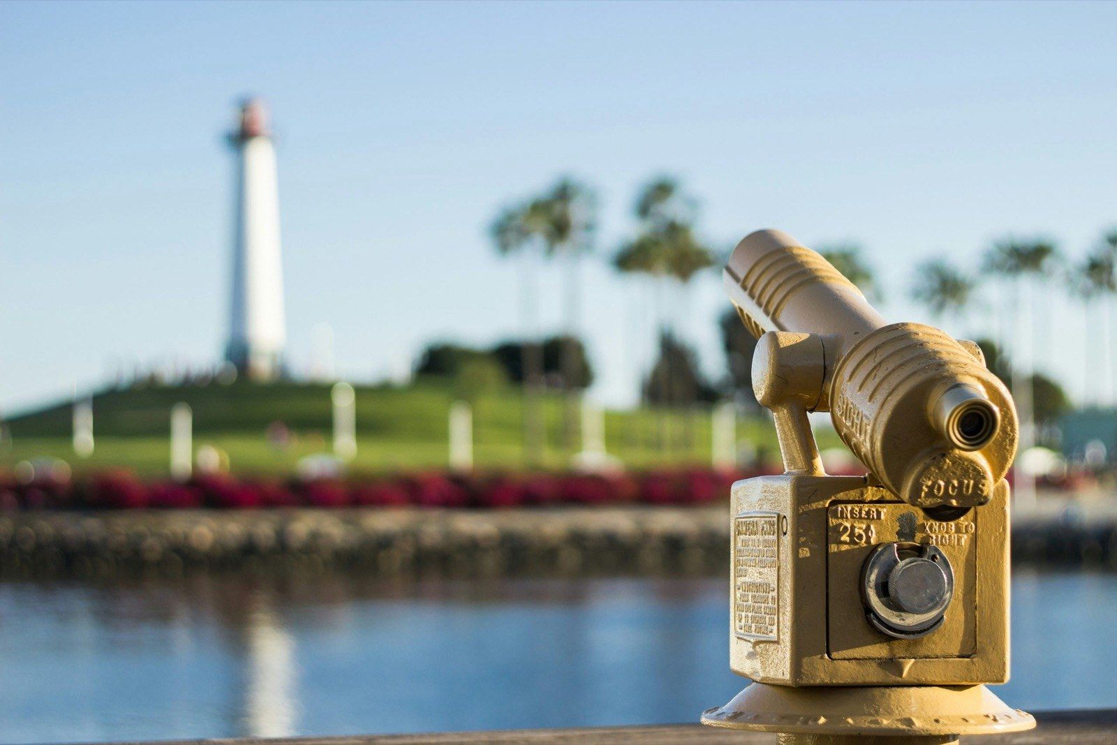 Scattering Ashes at Sea in Los Angeles: A Guide for Families